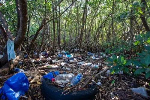Plastic Waste Plastic Waste