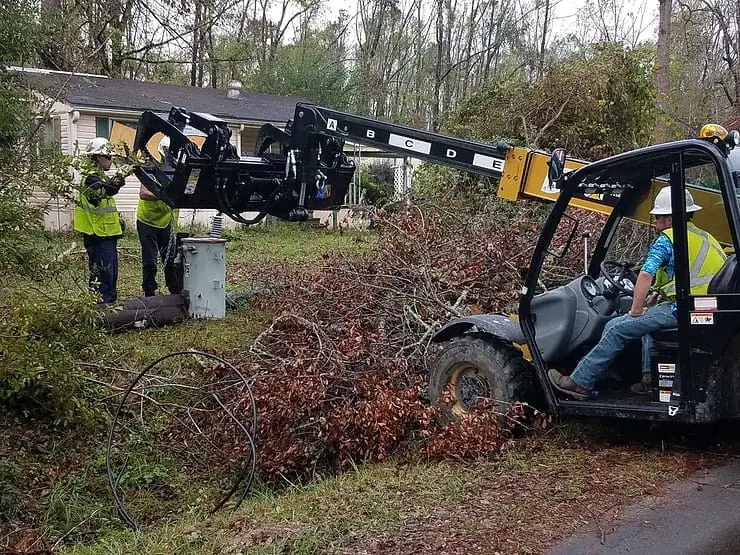 Environmental Cleanup and Recovery After Hurricane Michael Will Take Time and Patience Environmental Cleanup and Recovery After Hurricane Michael Will Take Time and Patience
